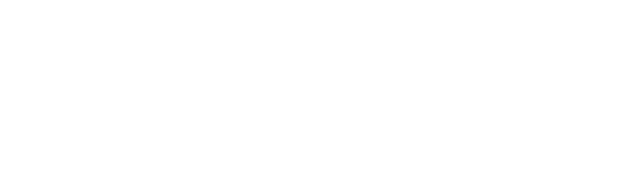 Barchini Partners