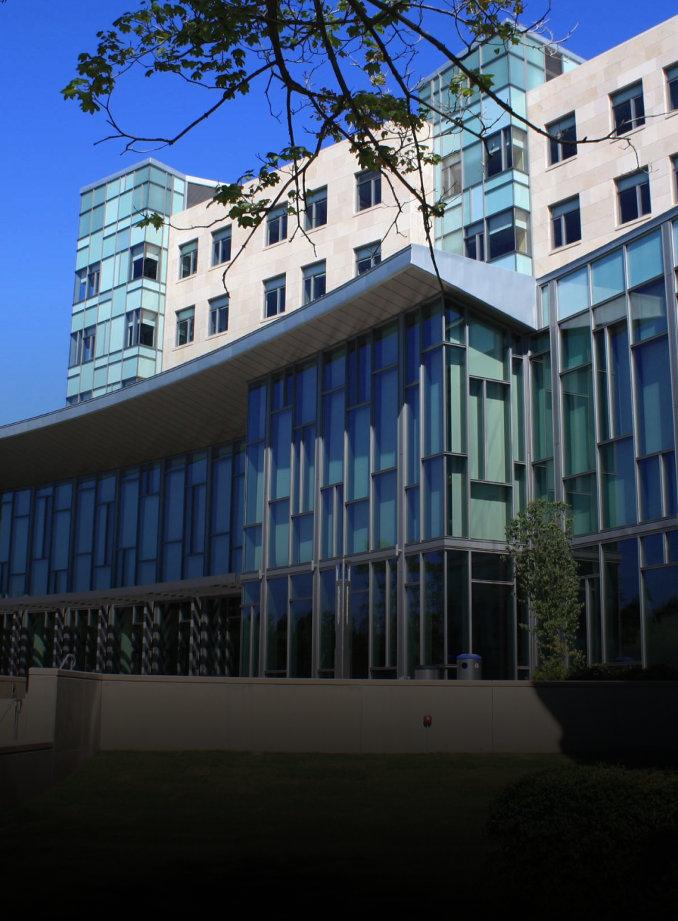 MIT Sloan School of Management